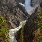 Yellowstonecanyon