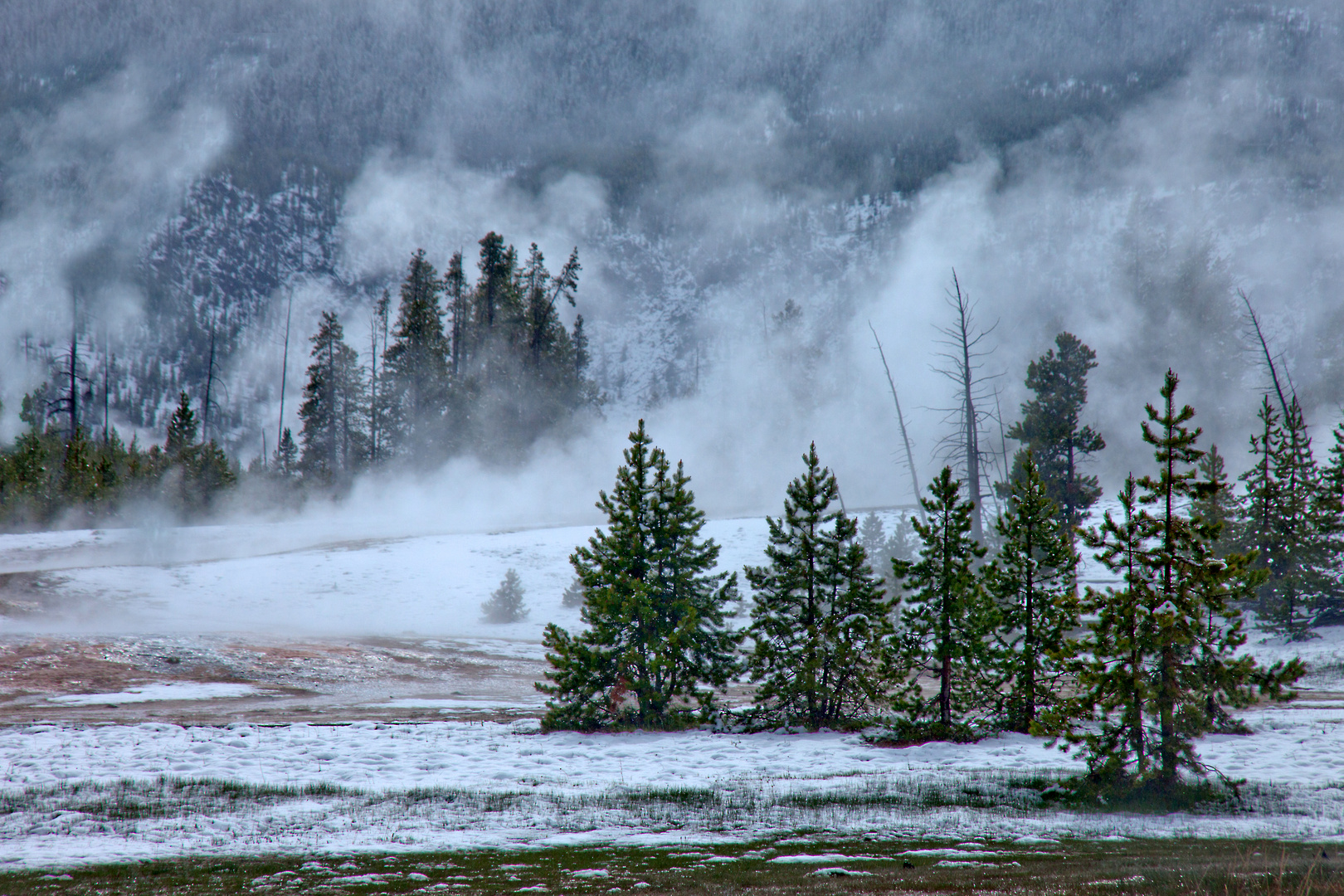 Yellowstonewinter 