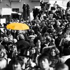 ...yellow.umbrella...