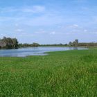 Yellowwaters..... Schwimmen kann tödlich sein