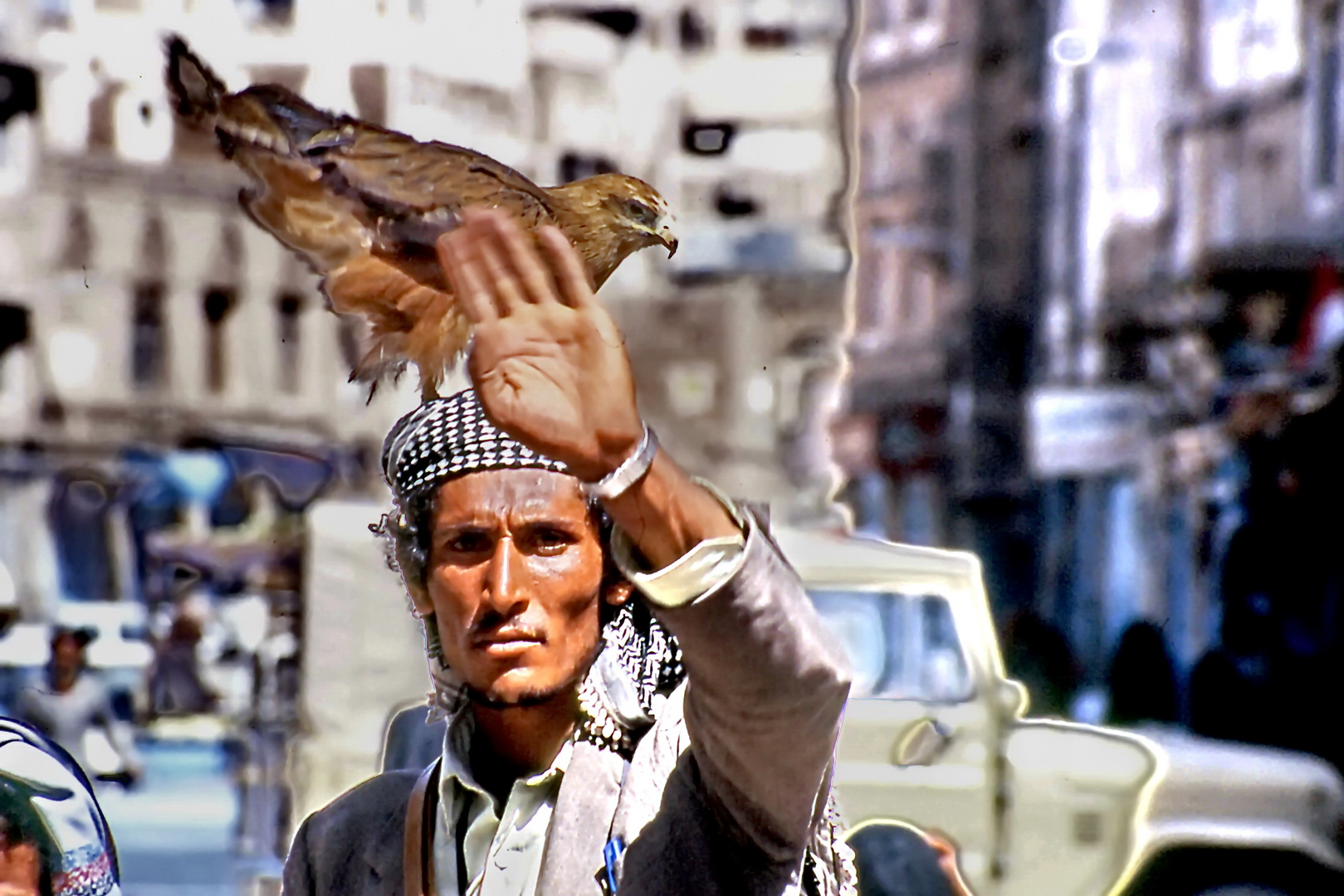 Yemenitischer Falkner