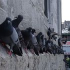 Yeni Camii, Eminönü, Istanbul