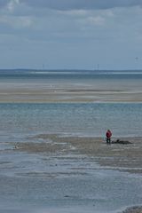 Yerseke - Oosterschelde