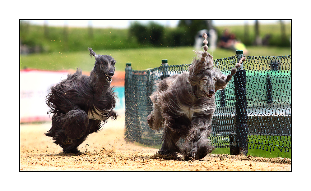 YETI und SCHLUMPF beim Joggen....;-)))