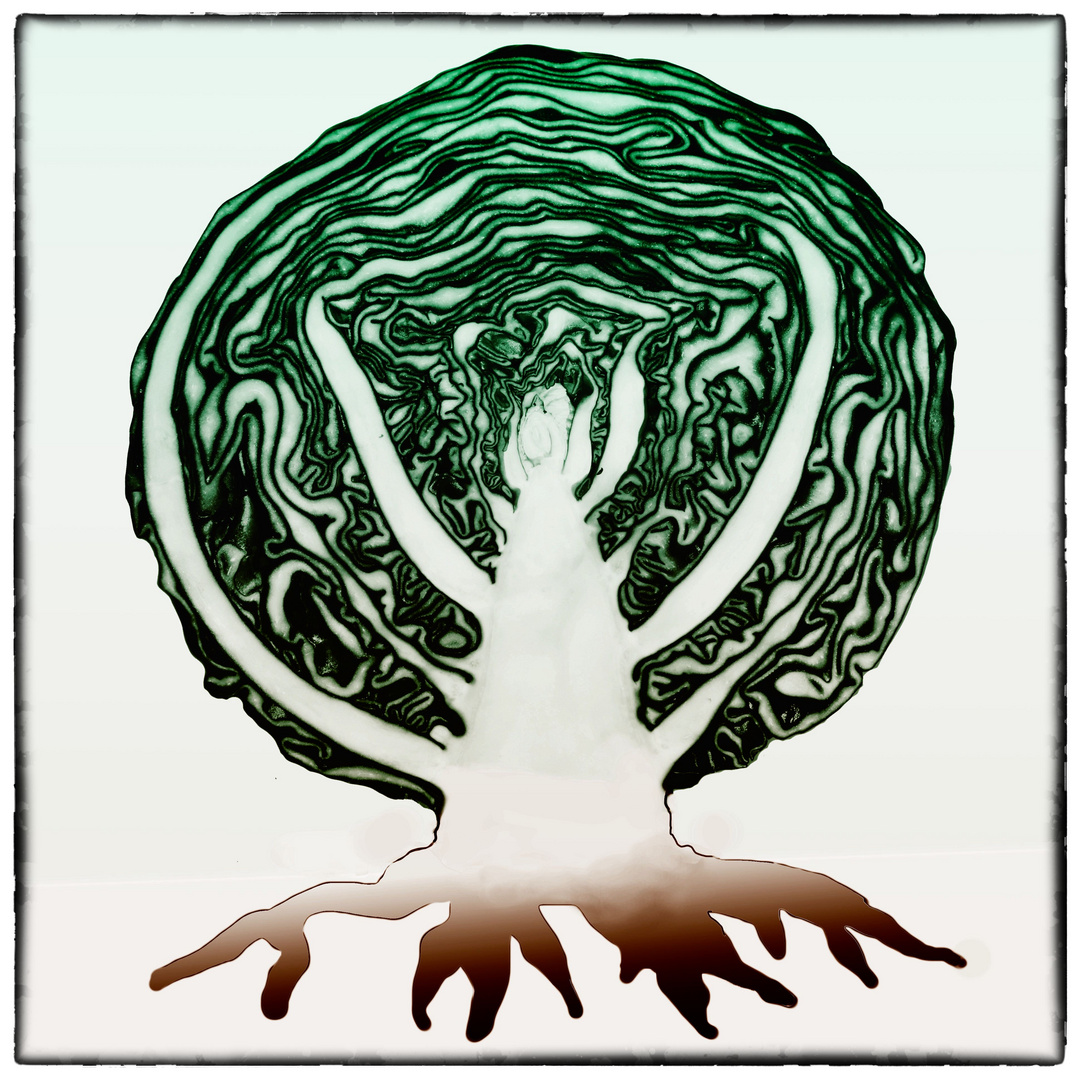 YGGDRASIL