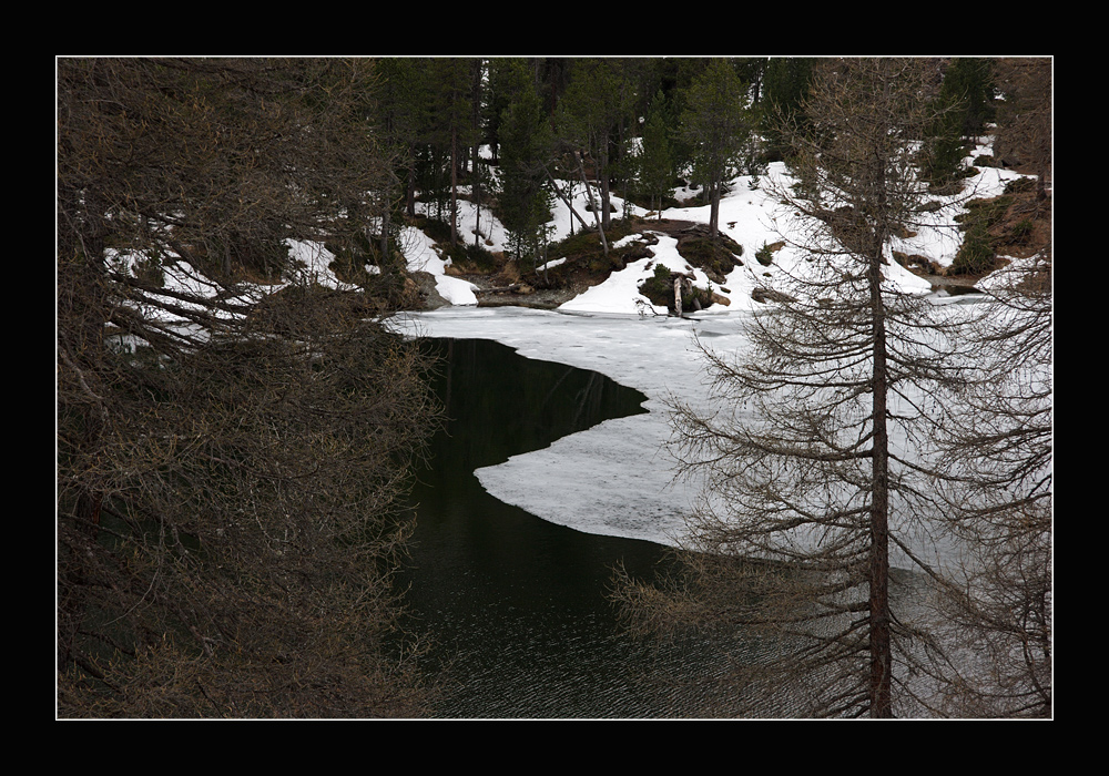 yin und yang