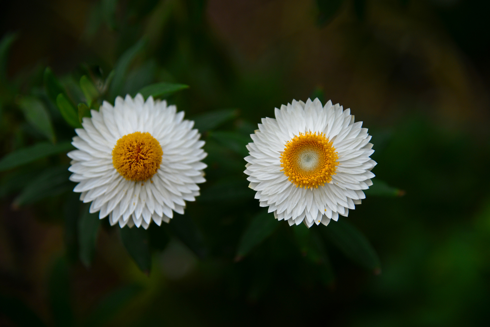 Yin und Yang