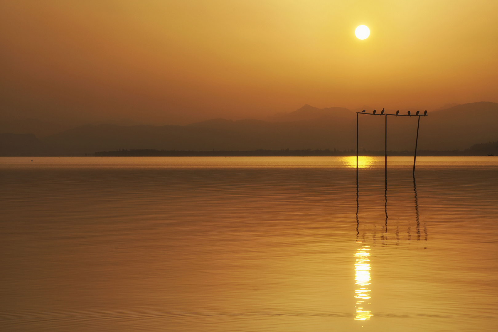 Yin und Yang am Bodensee