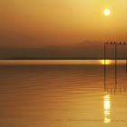 Yin und Yang am Bodensee