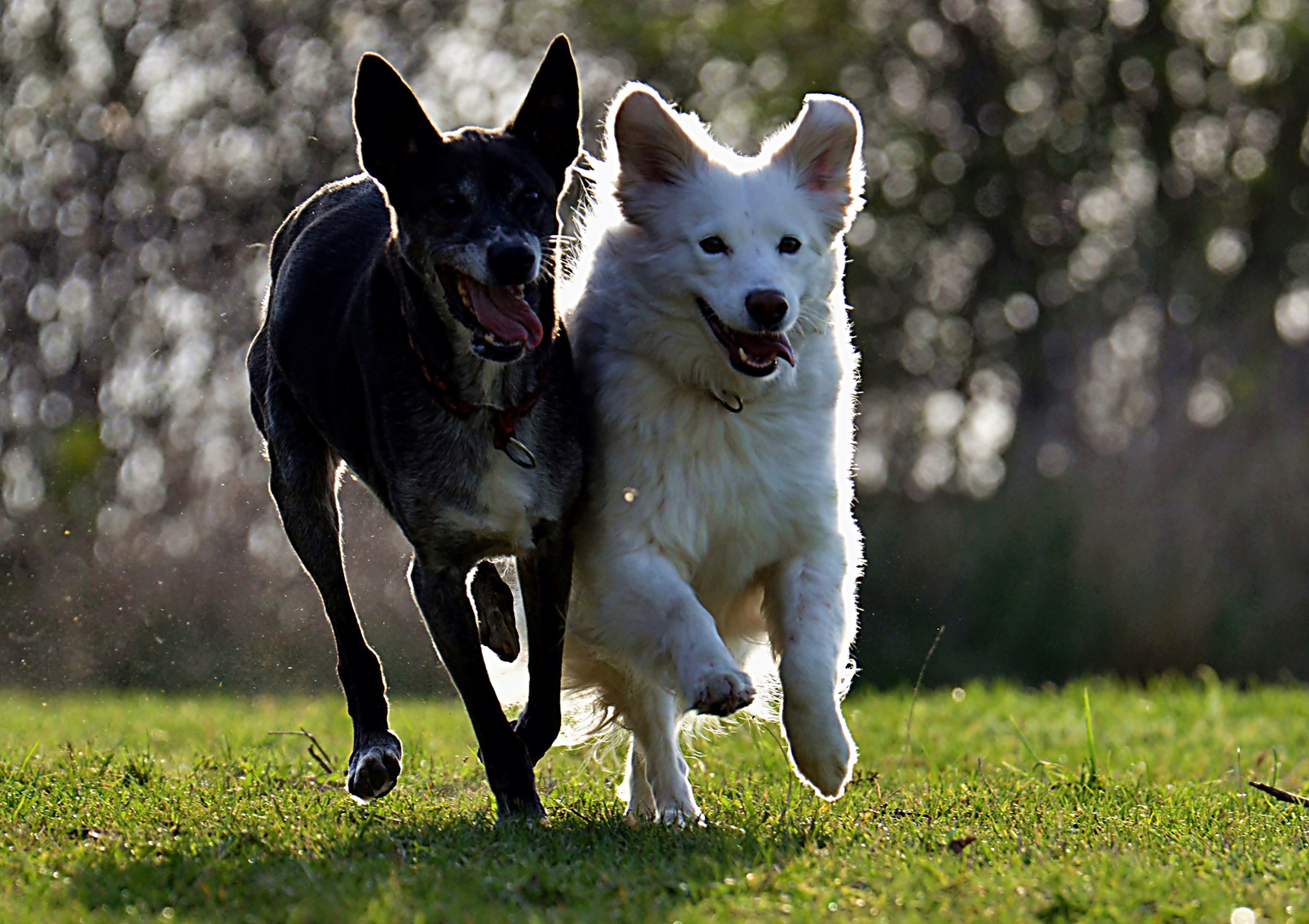 Yin und Yang