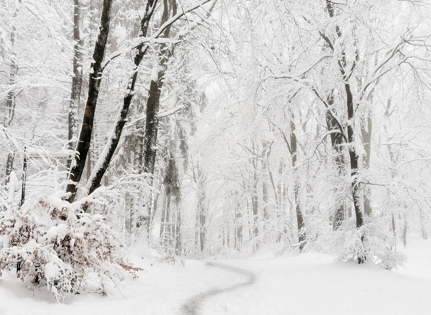 Yippie, Schnee im Taunus ...