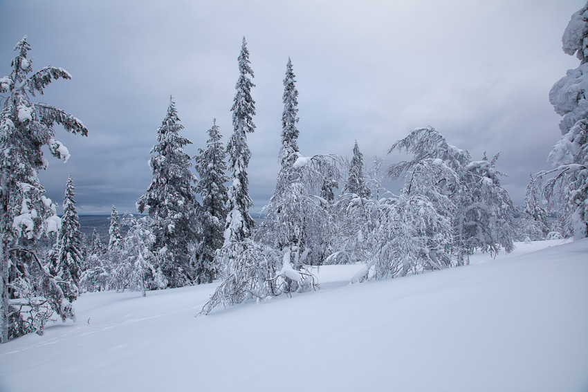 Ylläs