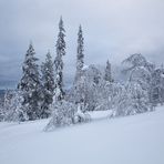 Ylläs