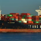 YM VANCOUVER / Container Ship / Schelde / Antwerpen