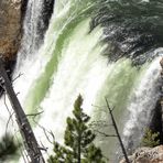 YNP Lower Yellowstone-Wasserfall 2.8.15