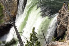 YNP Lower Yellowstone-Wasserfall 2.8.15