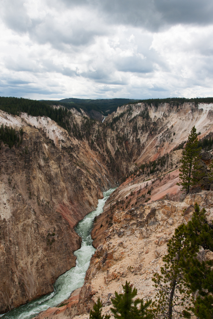 YNP Yellowstone River