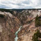 YNP Yellowstone River