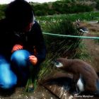 Yo, en el Pingüinar, en Isla Martillo, Ushuaia.