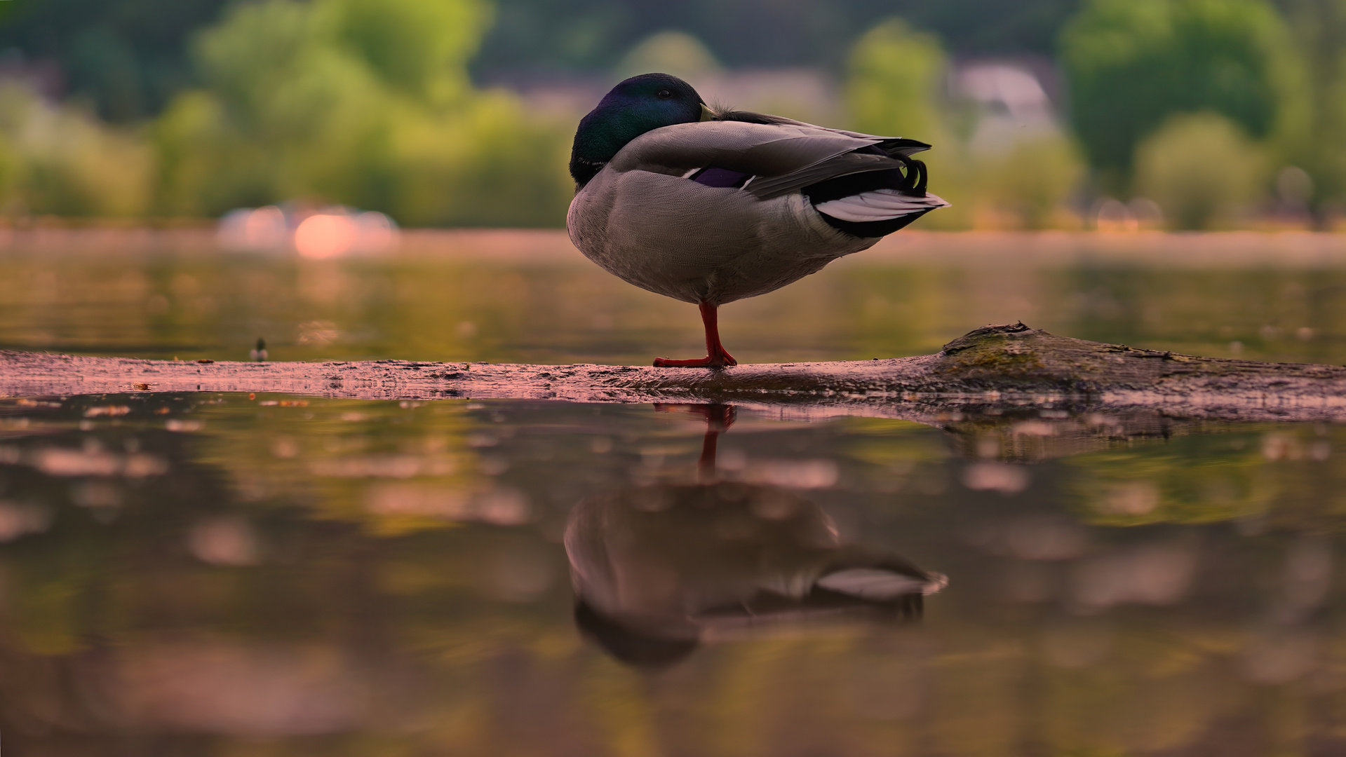 Yoga am Abend