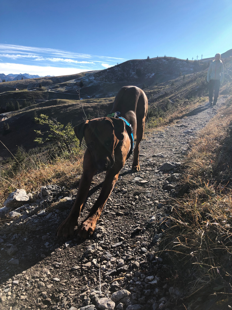 Yoga am Berg