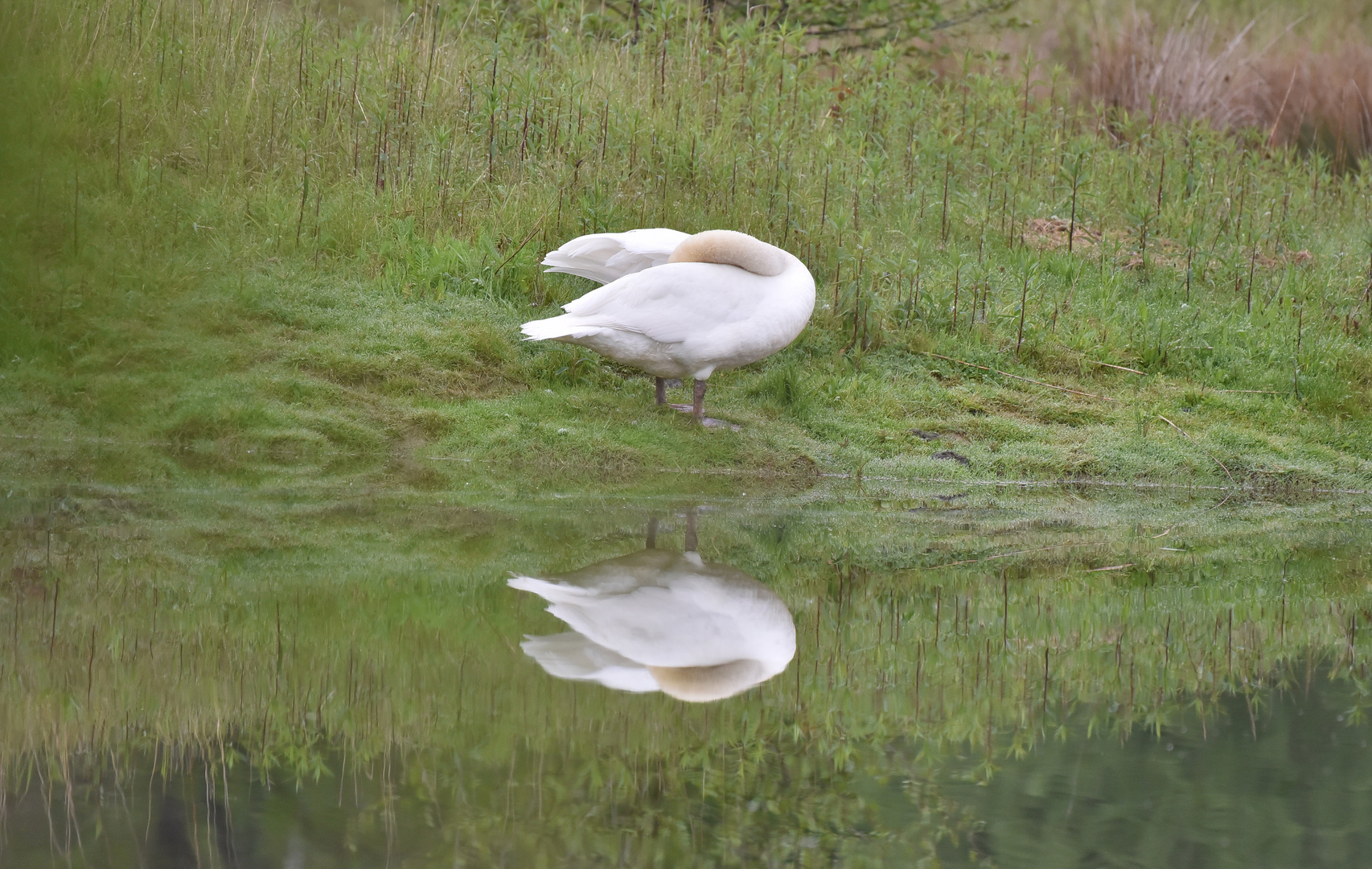 Yoga am Morgen