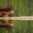 Yoga am Teich