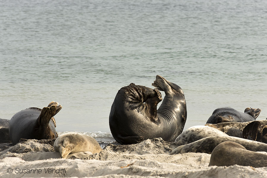 Yoga at the beach