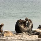 Yoga at the beach