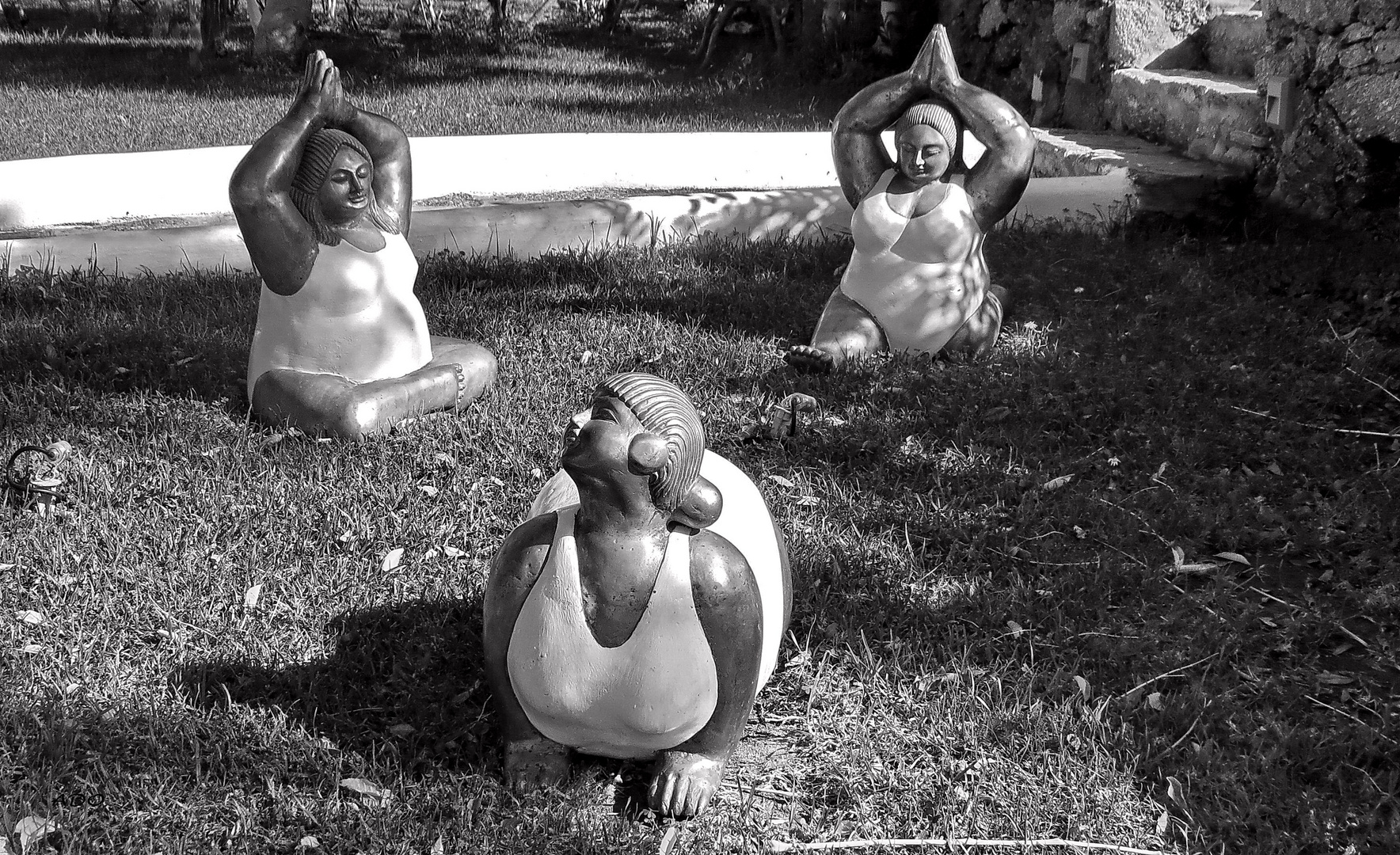 yoga dans le parc ...