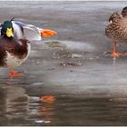 Yoga-Ente