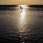 yoga im meer 