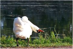 Yoga-Übung