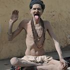 Yogin from Jaipur