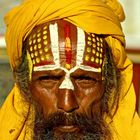 Yogin - Sadhu