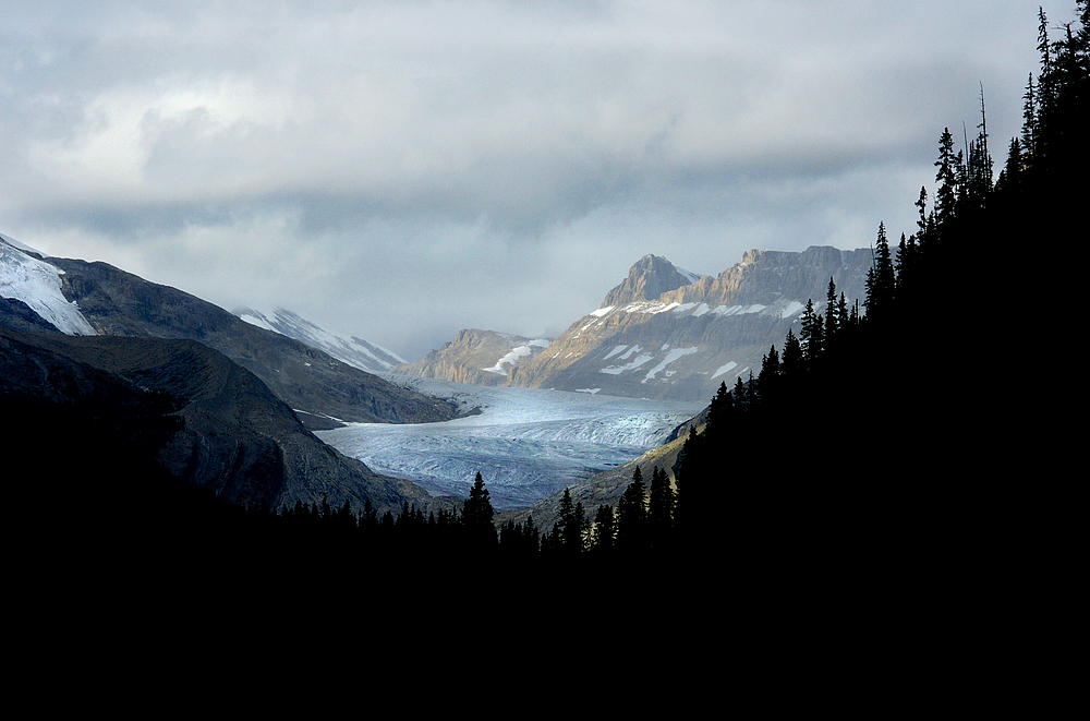 Yoho - Glacier # 1