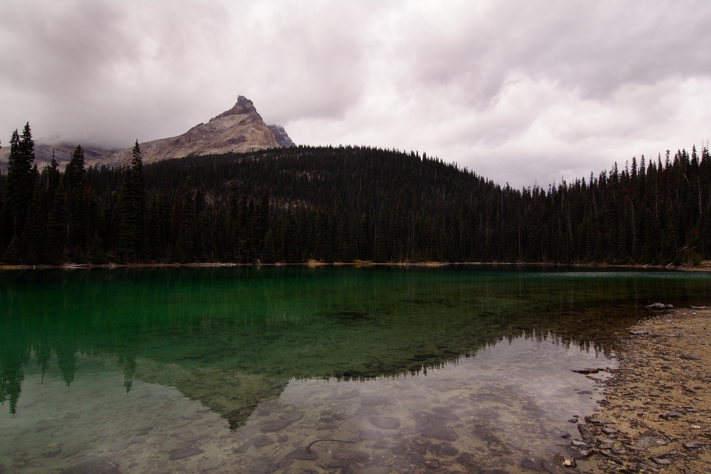 * Yoho Lake *