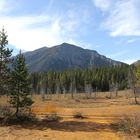 Yoho NP - Colours