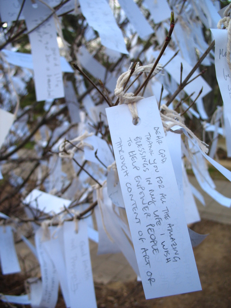 Yoko Ono's wish tree for Washington DC