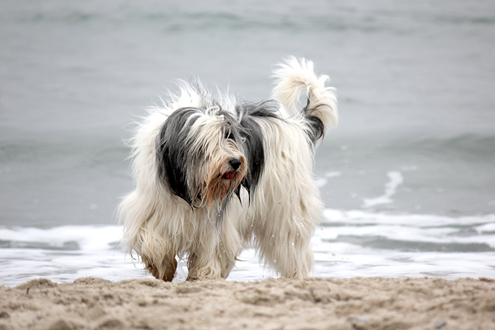 Yolande an der Ostsee.