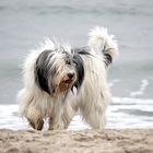 Yolande an der Ostsee.