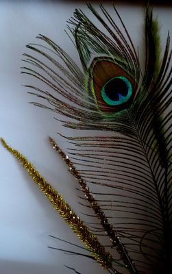 "Yo.....Me quedo en Casa"