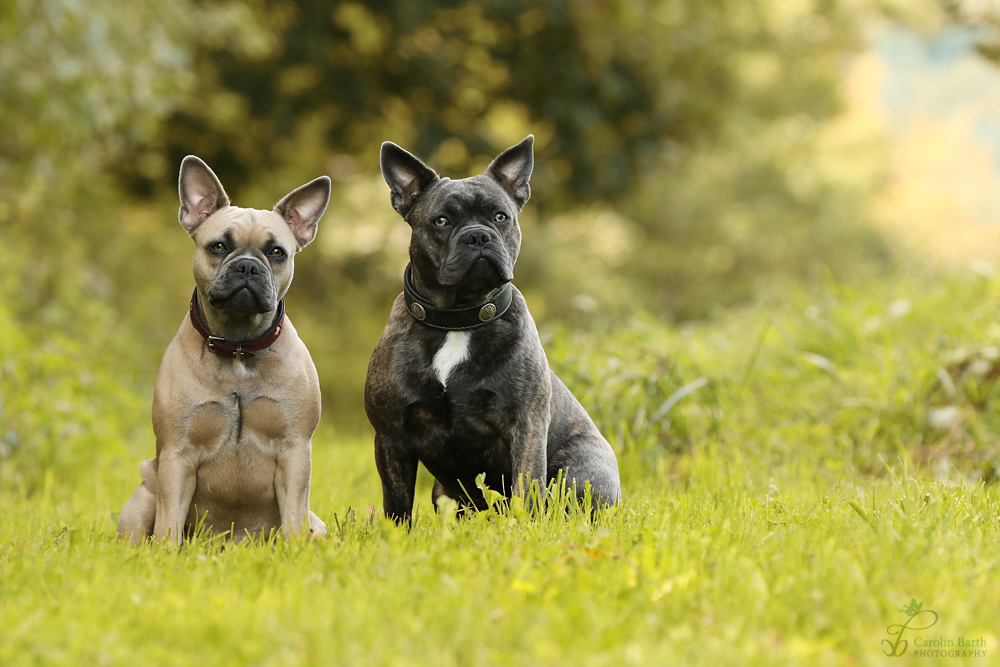 Yona und Kenai