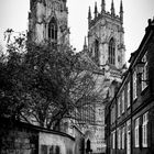 York Minster II