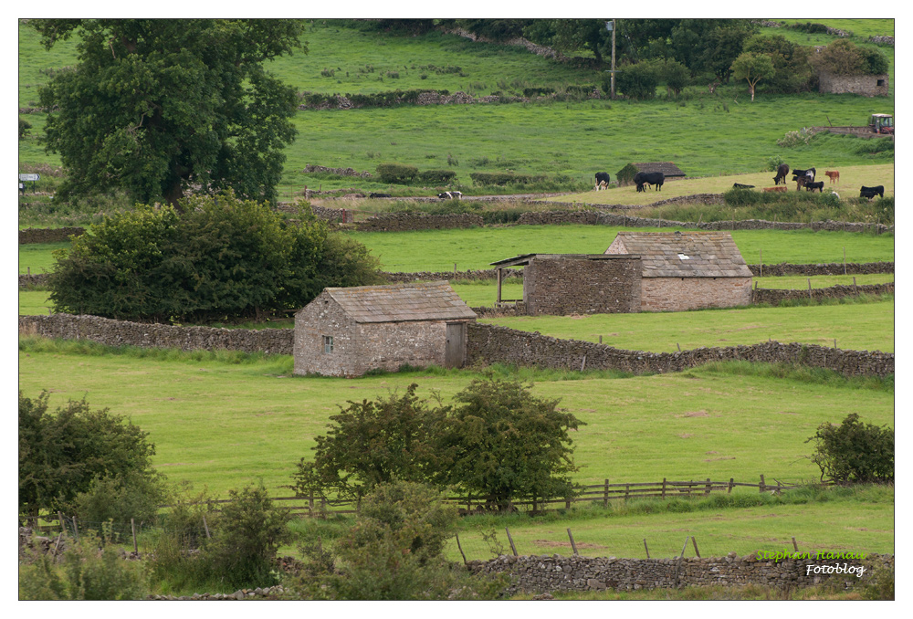 Yorkshire 11 - Herriot's country