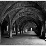 Yorkshire 17 - Fountains Abbey