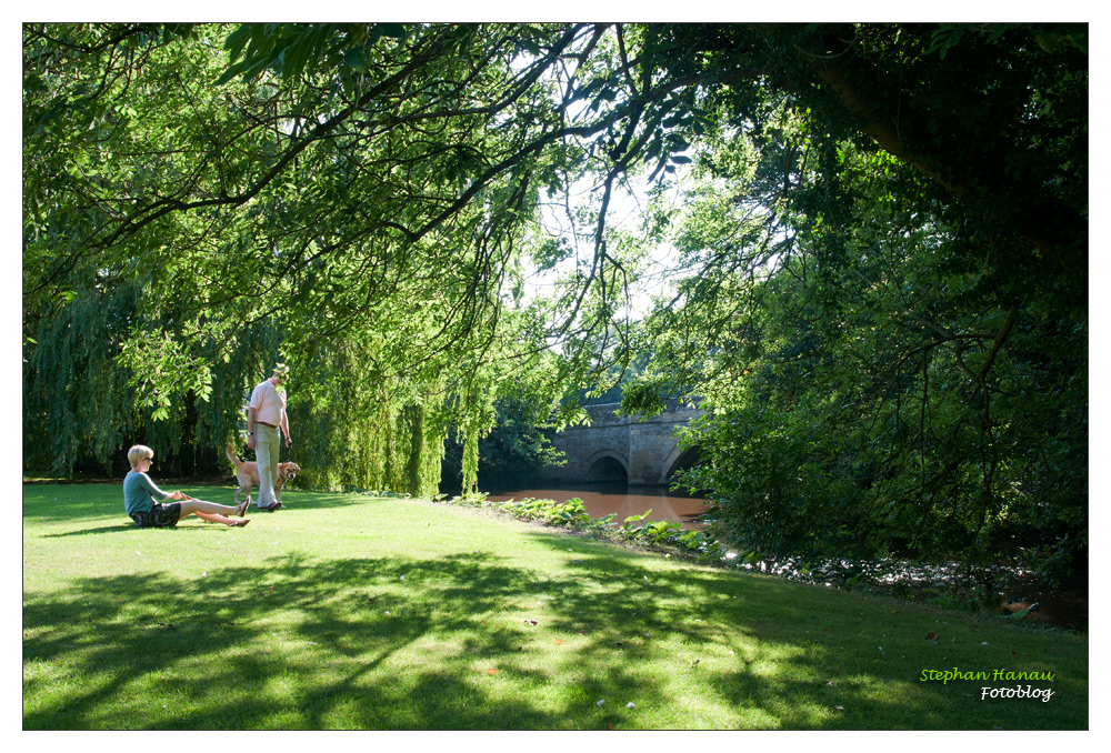 Yorkshire 18 - English countrylife