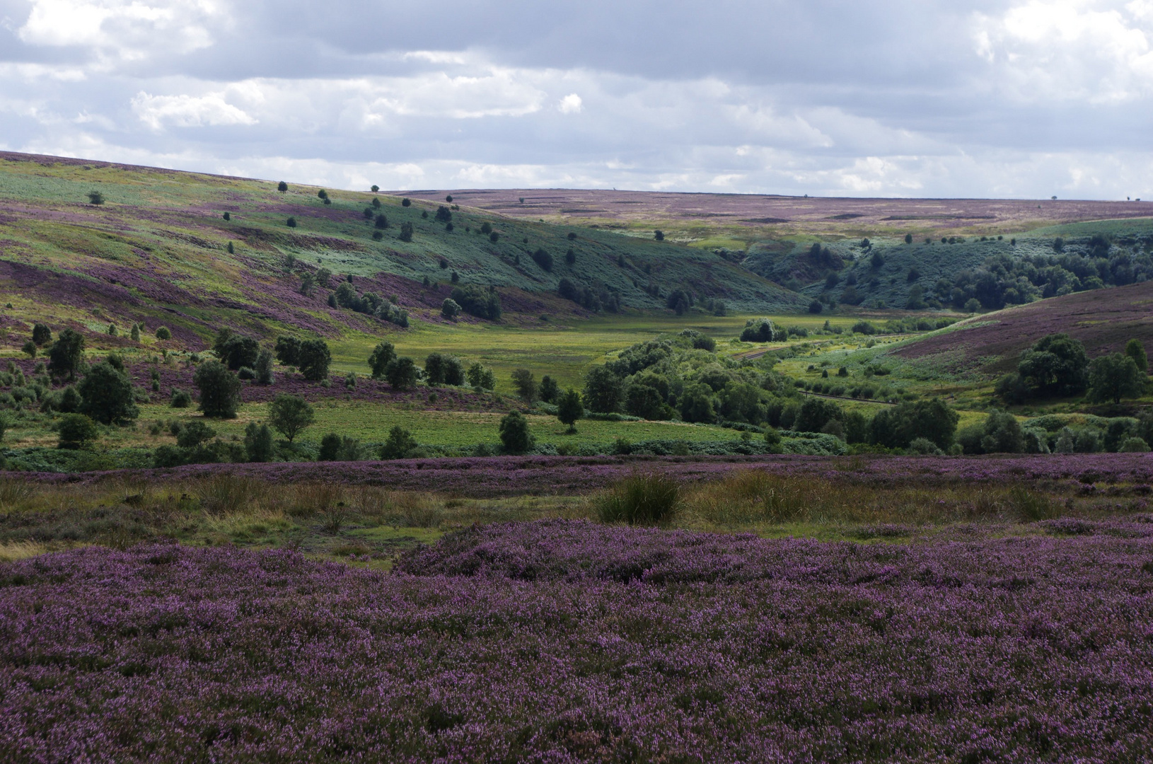 Yorkshire