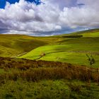 Yorkshire Dales