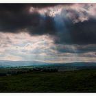 Yorkshire Lights